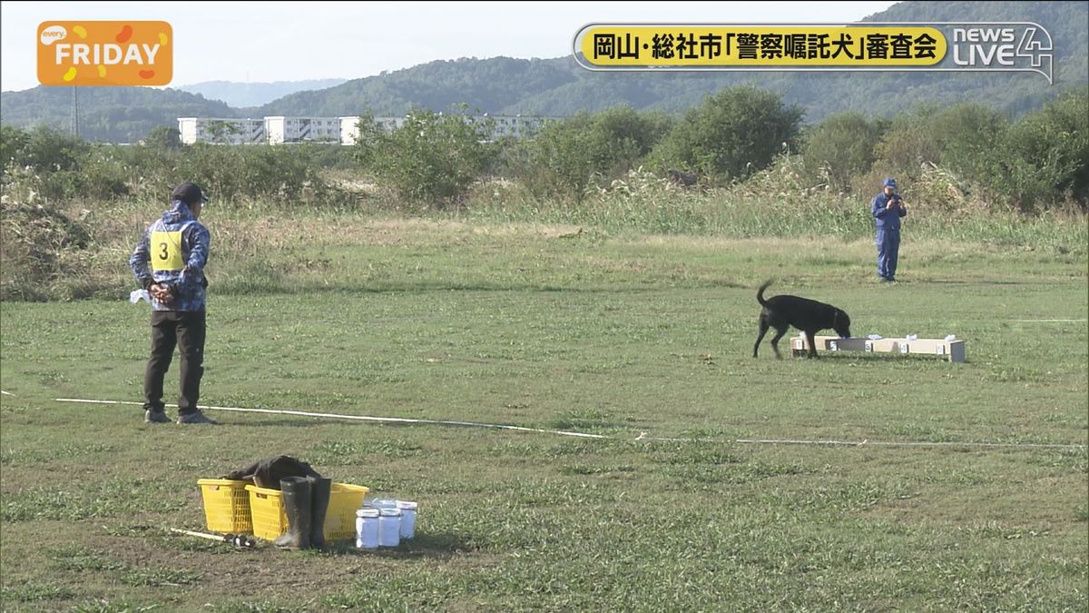 警察嘱託犬の審査会　一般家庭の犬が犯罪捜査などに協力