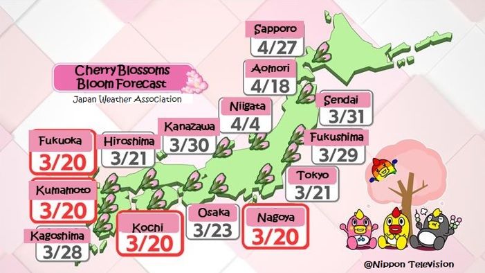 【英語で読む】SAKURA FORECAST: Cherry Blossoms to Bloom Soon!＜桜前線もうすぐ＞