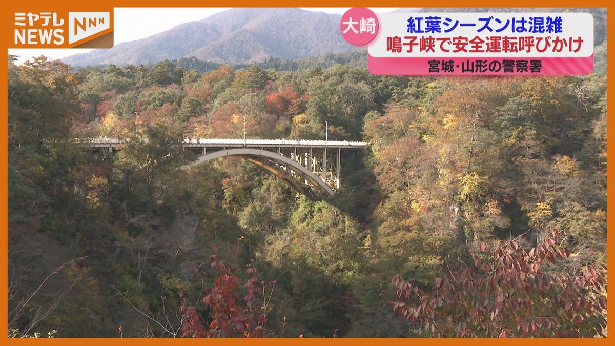 ＜秋の行楽シーズン＞紅葉が見頃の『鳴子峡』　宮城・山形の警察合同で”安全運転”呼びかけ（宮城・大崎市）