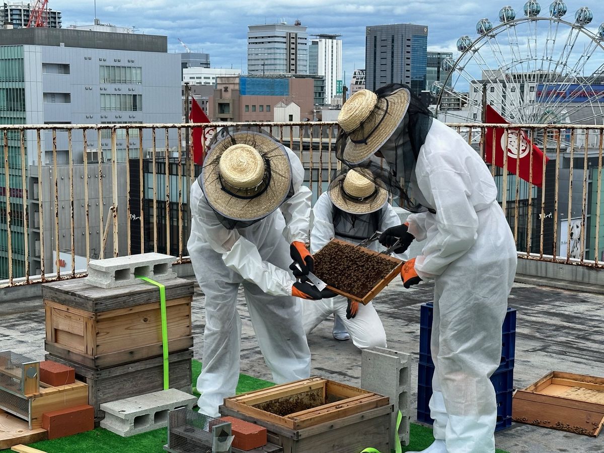 栄のデパートの上で“養蜂” ２年目はミツバチを1.5倍に増やし挑戦！ 「百貨店の屋上に新価値を」　名古屋三越