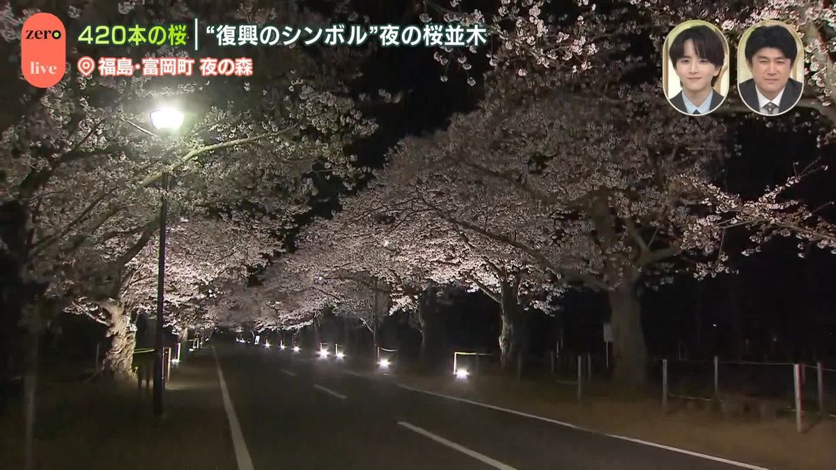 【動画】420本の桜“復興のシンボル”「夜の森の桜並木」