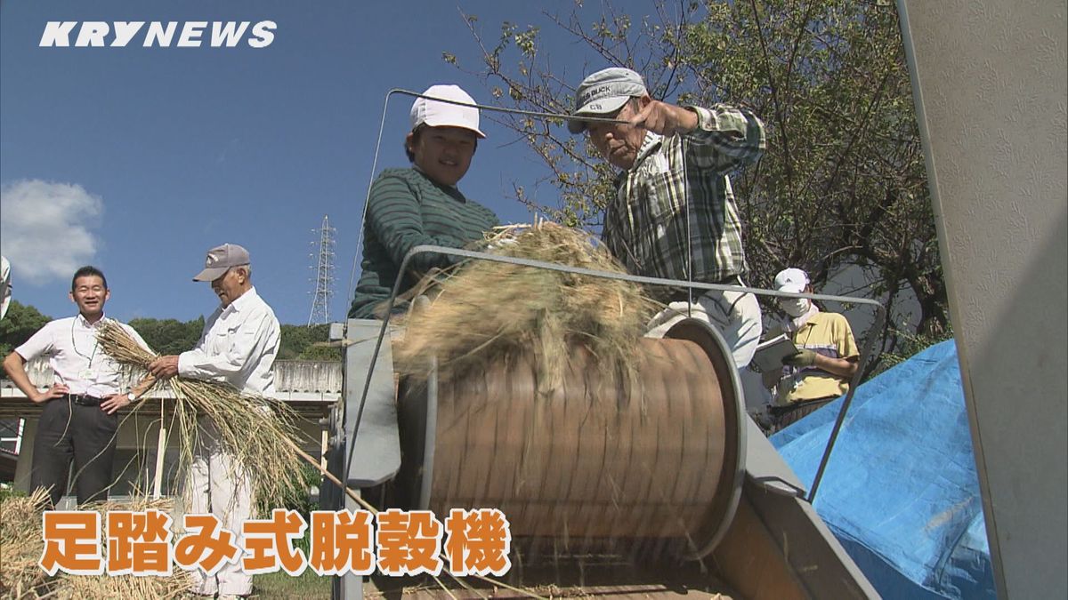 小学生が昔ながらの稲こきに挑戦！もち米脱穀を足踏み式機械で体験 12月には餅つき（山口・下松）