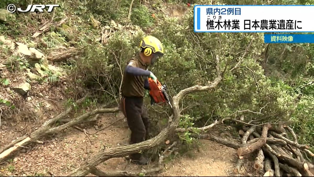 伝統的技法による林業「みなみ阿波の樵木林業システム」　日本農業遺産に認定【徳島】