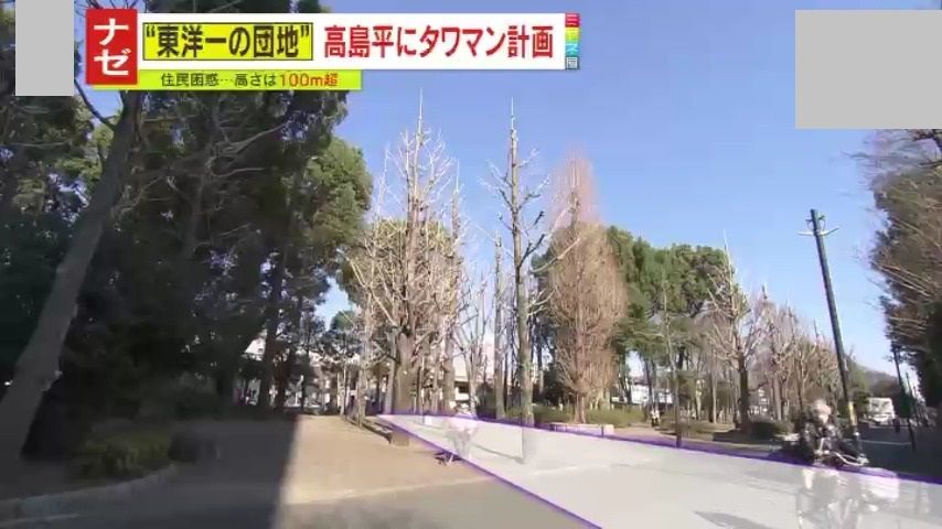 緑地帯を分断した道路のイメージ