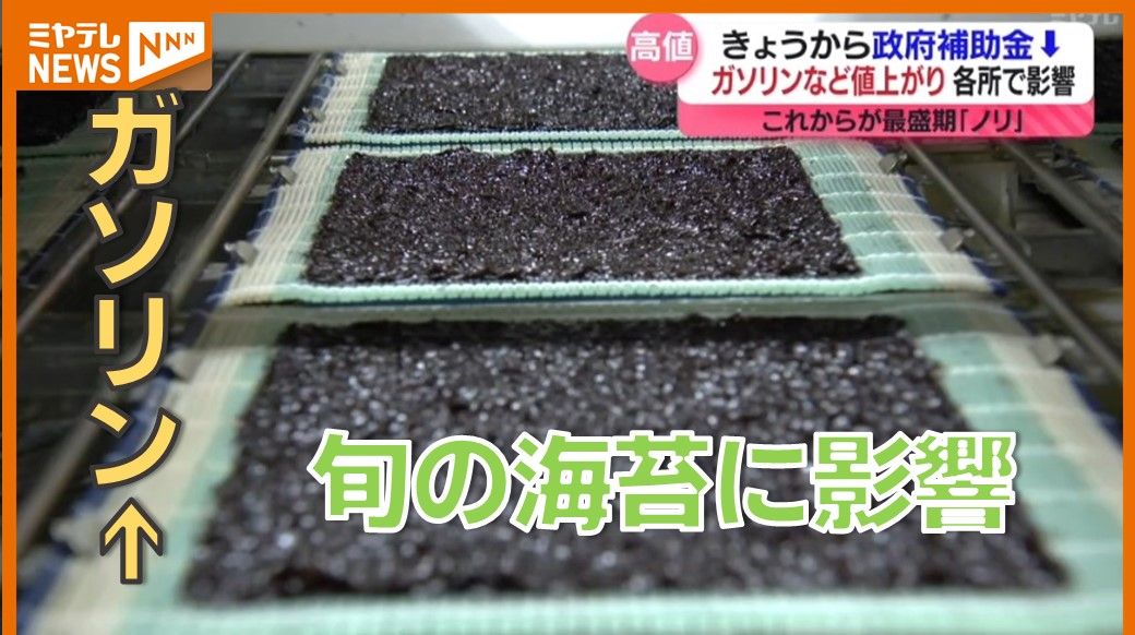 【特集】政府の補助金下がりガソリン・灯油・重油”値上がり”　海苔に銭湯…幅広い産業に影響