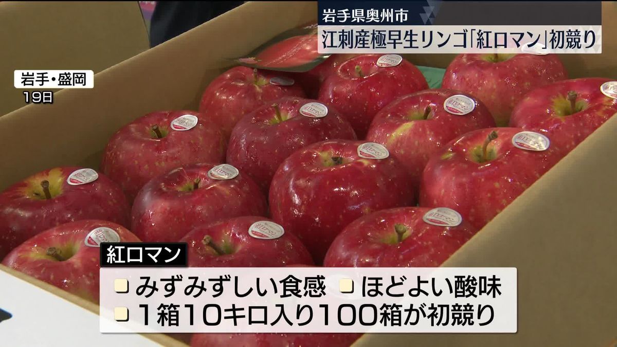 岩手・江刺産リンゴ「紅ロマン」が初競り 「秀」ランク1箱18万円…暑さで甘さは例年以上に