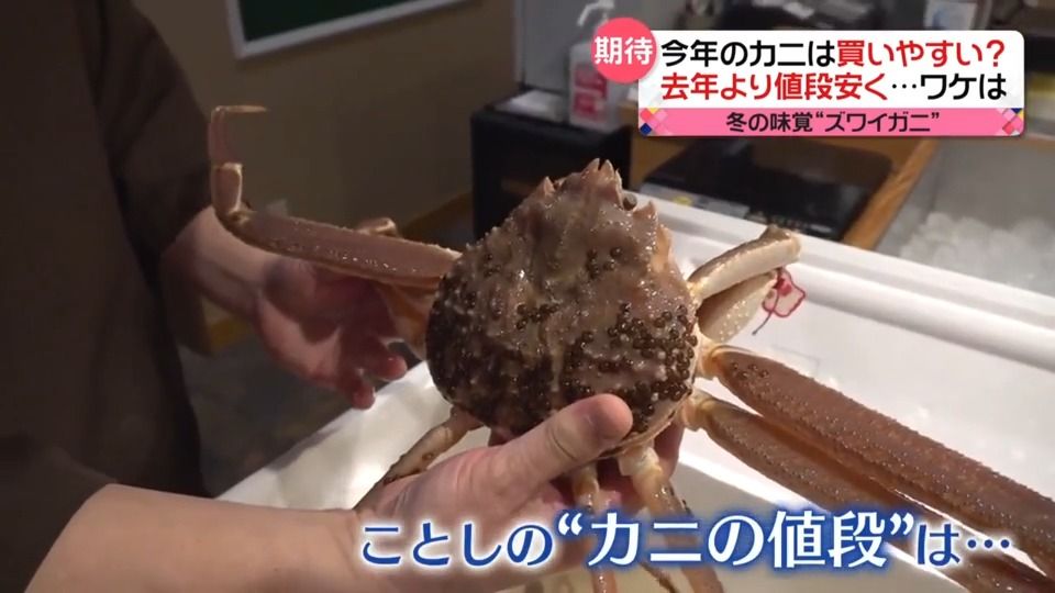 今年のカニは買いやすい？　去年より安いワケ　“国内の漁獲枠拡大”に“輸入モノ”も