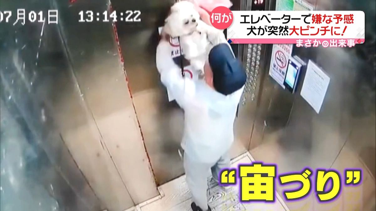 エレベーターで犬が突然“宙づり”に　リードがドアに挟まる　中国