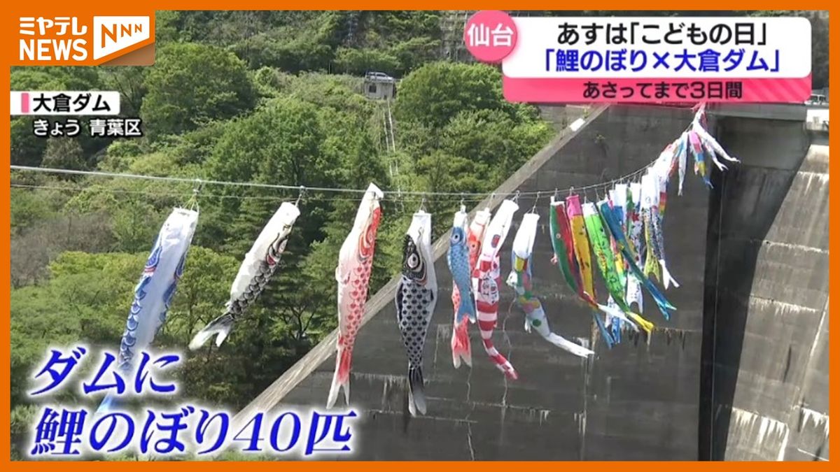 【5日は「こどもの日」】仙台市の大倉ダムに<鯉のぼり40匹>　「なかなか見ないですね、こういう迫力ある鯉のぼりは」