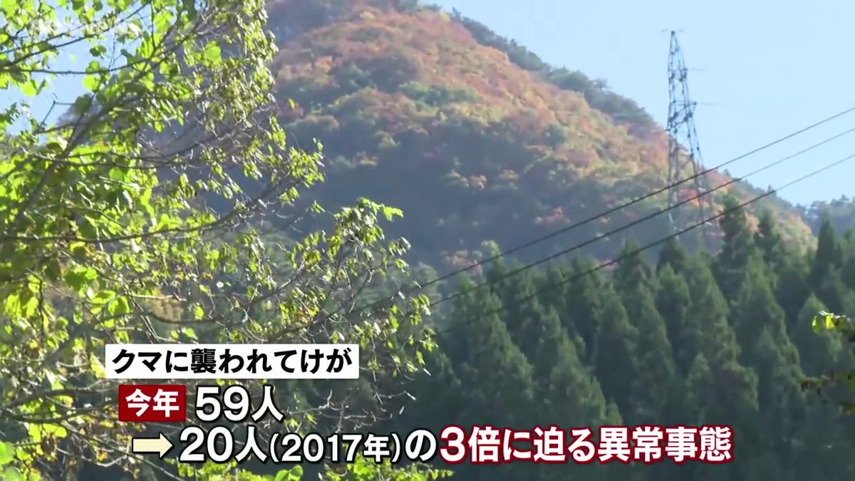 北秋田市と鹿角市でクマに襲われけが