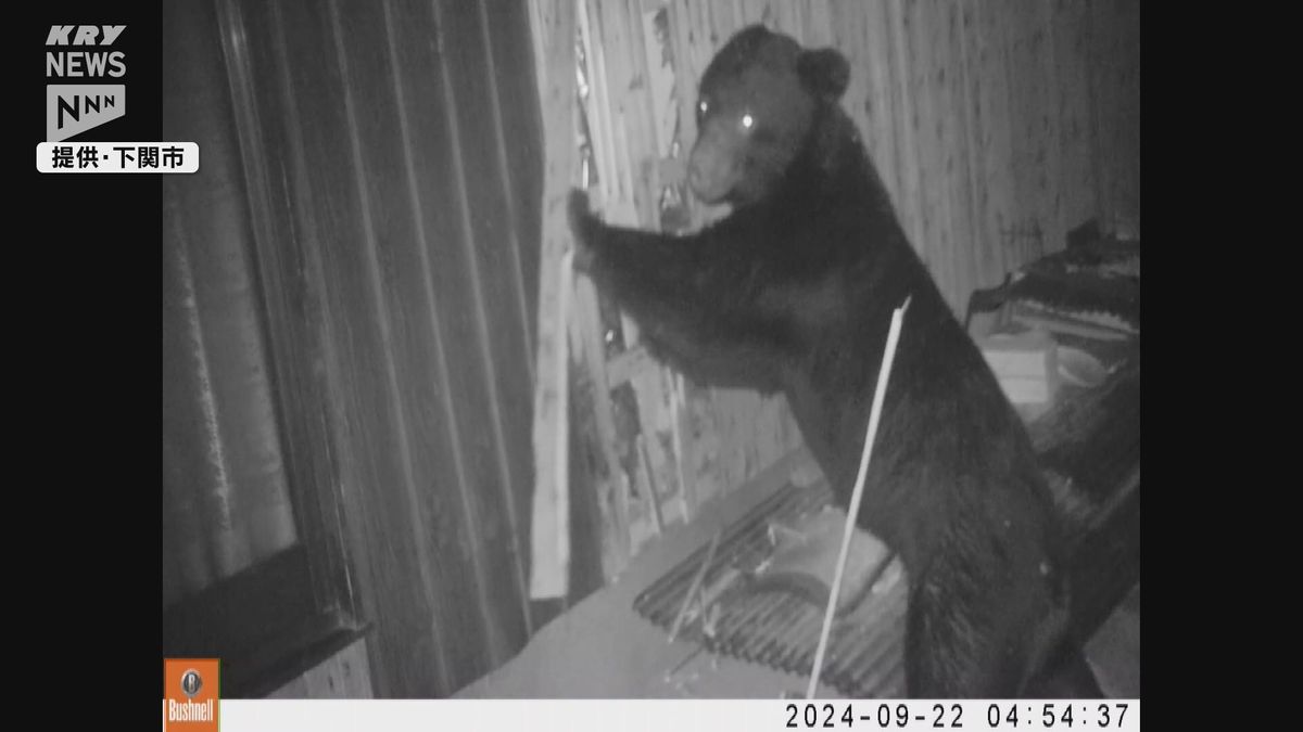 クマが空き家を壊す…下関市設置のカメラにクマの姿が　体長は120センチか警戒強める