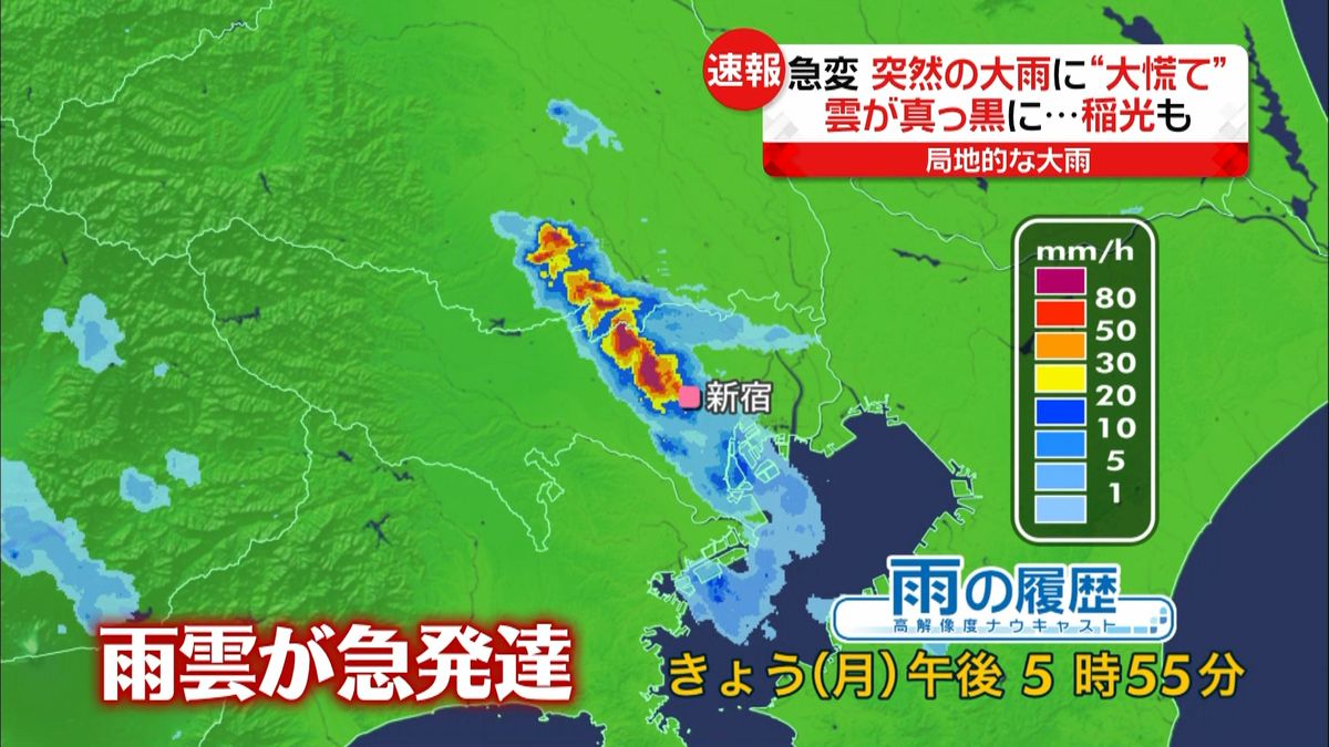埼玉・狭山市と所沢市に大雨・洪水警報
