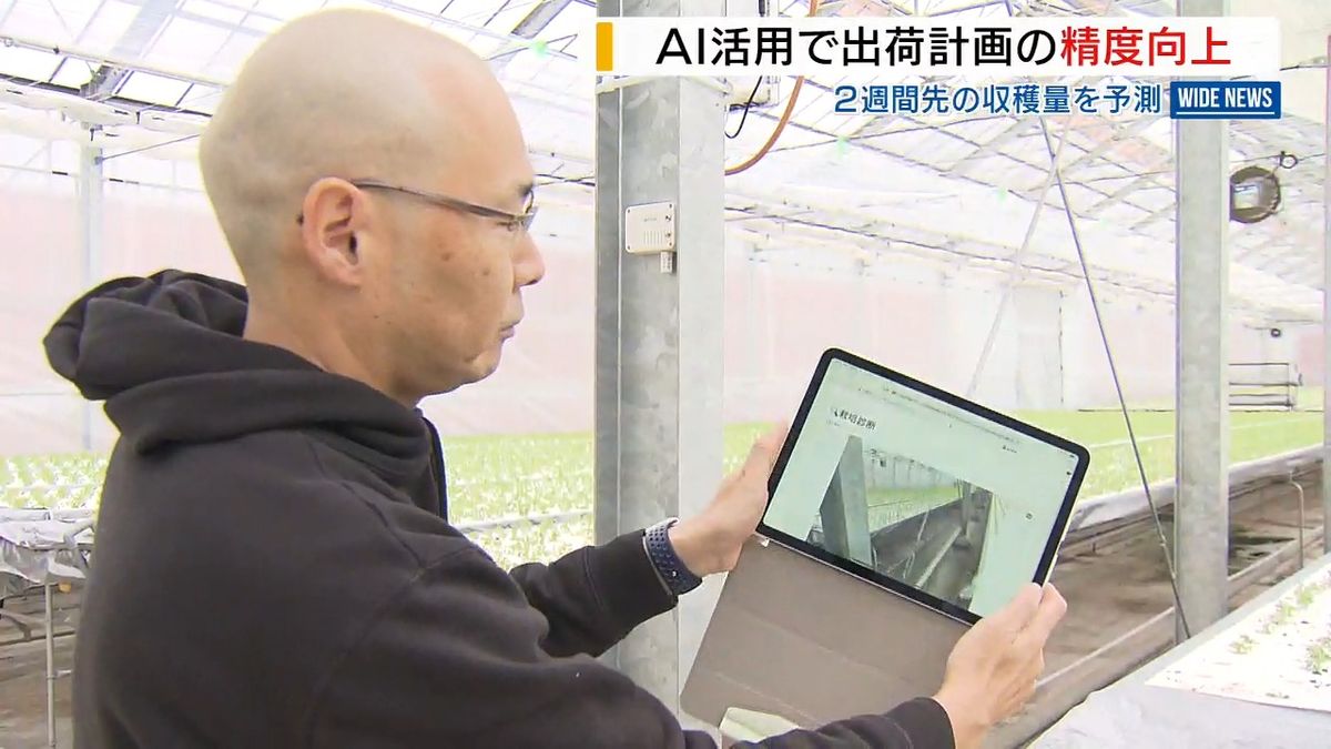 AIが収穫量予測 生産効率アップへ実証実験 農業初心者にアドバイスも 山梨・北杜市