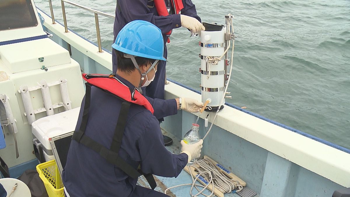 海水浴場の水質調査 すべて「遊泳に問題なし」特に水質良好な「AA」は21か所