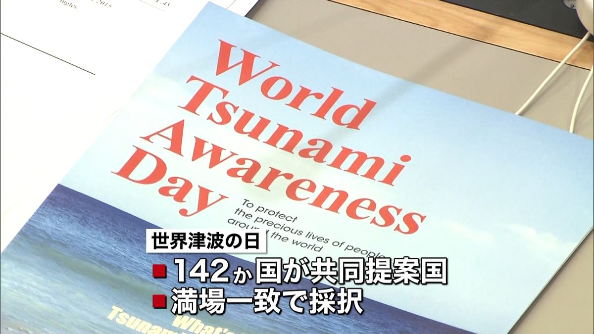 日本提案「世界津波の日」国連委員会で採択