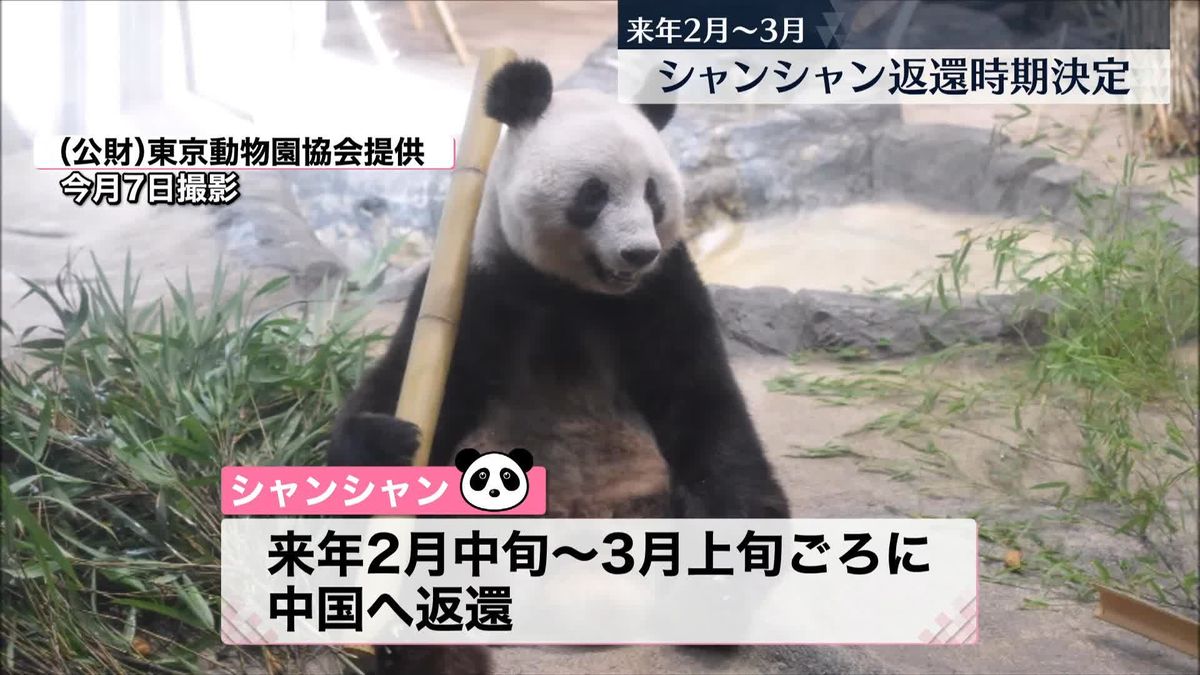 上野動物園のジャイアントパンダ・シャンシャン 来年2月中旬から3月上旬ごろに中国へ返還