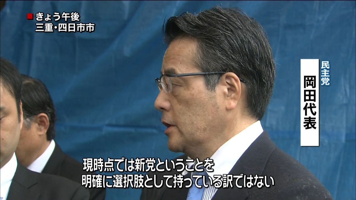 岡田代表、年内の新党結成に改めて慎重姿勢