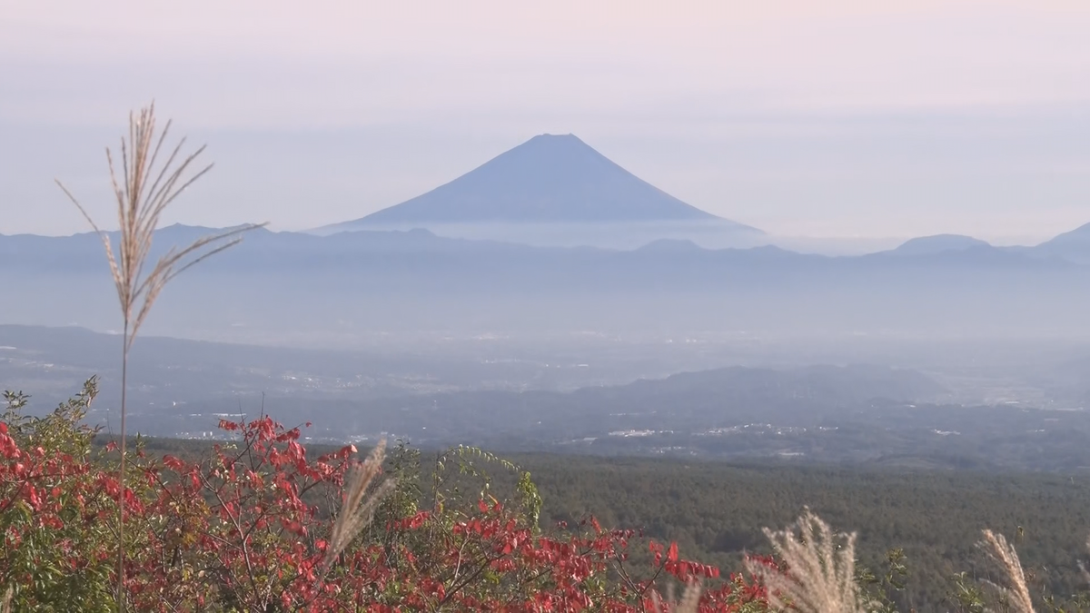 絶景　紅葉と富士山の競演　赤や黄色に染まる高原　今週末から来週末にかけて見頃のピークに