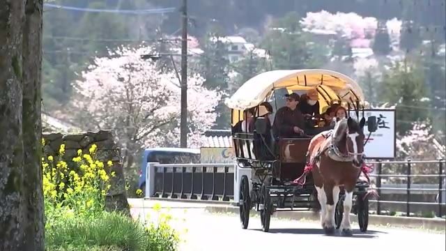 湯布院名物「辻馬車」　新しい車両にリニューアル　ポーランド製で木目調の２台お披露目　大分