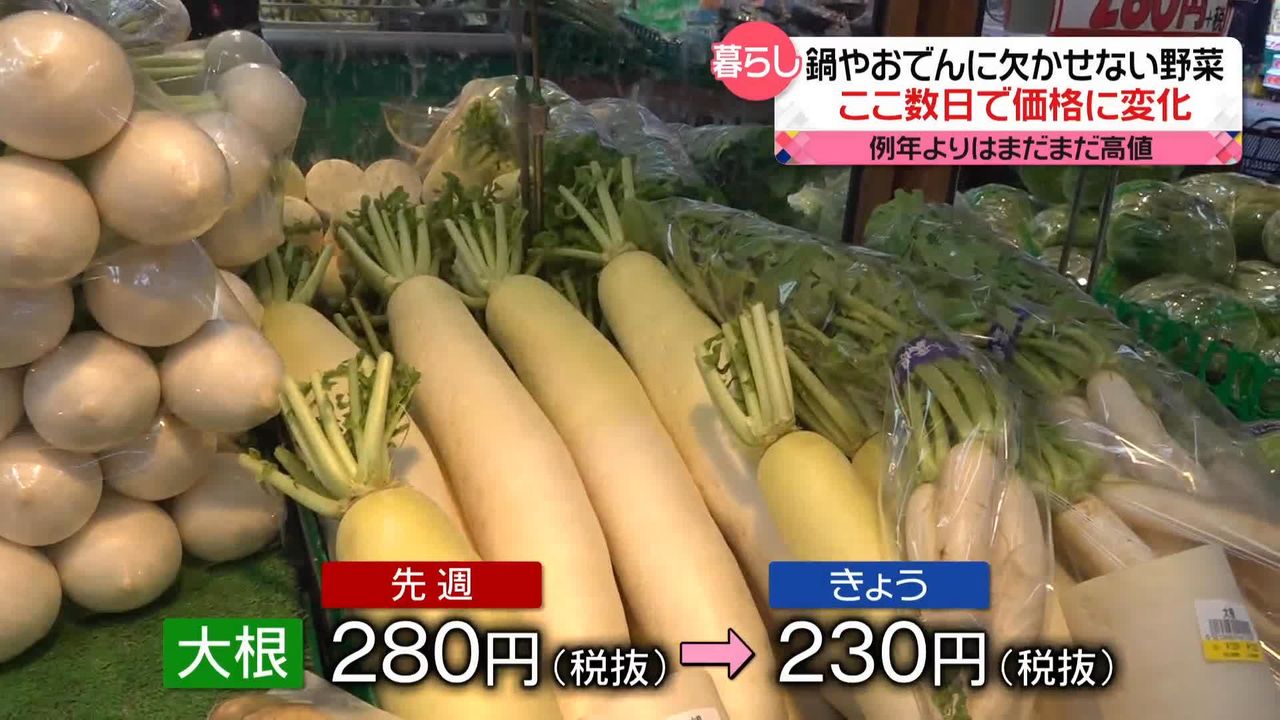 ここ数日で「冬野菜」価格に変化　新たな産地で出荷増加　白菜も生育順調？