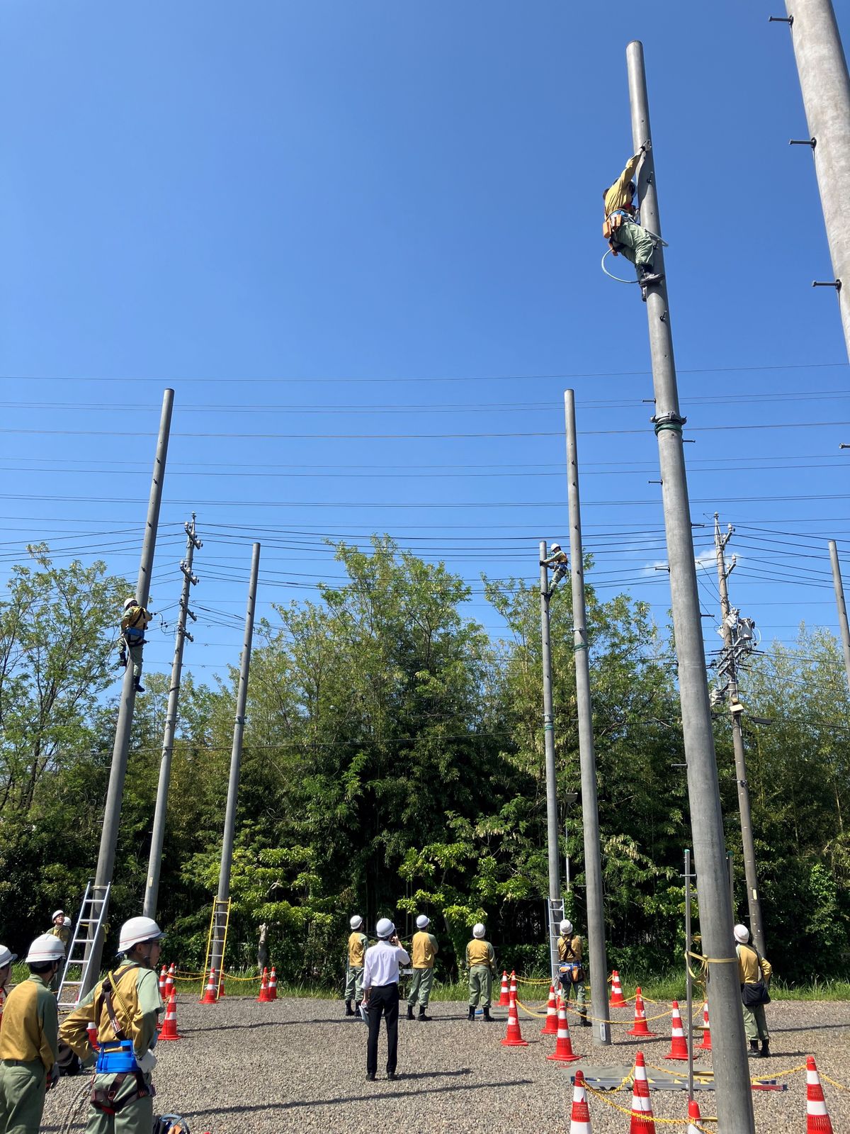 新入社員１２６人が“電柱のぼる訓練”　地上１０メートルの世界に「早く慣れたい」　中部電力パワーグリッド