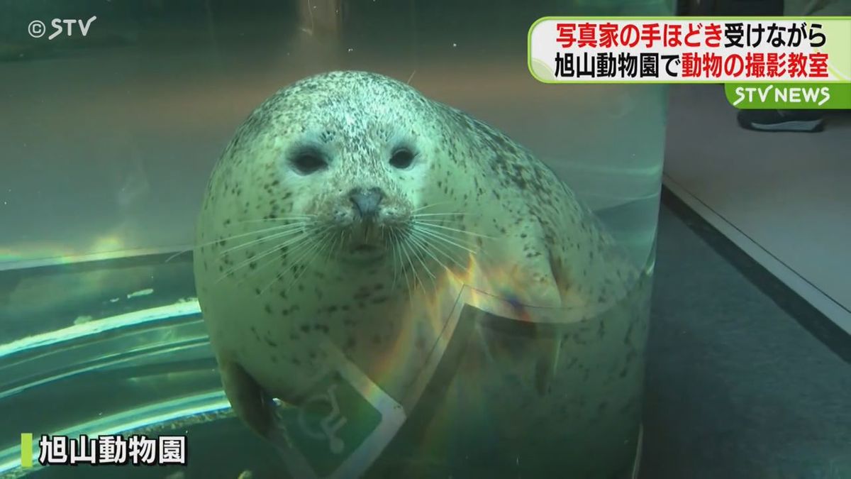 写真家・今津秀邦さんに直接教わった！旭山動物園で「動物の撮影教室」…いい写真、撮れたかな？