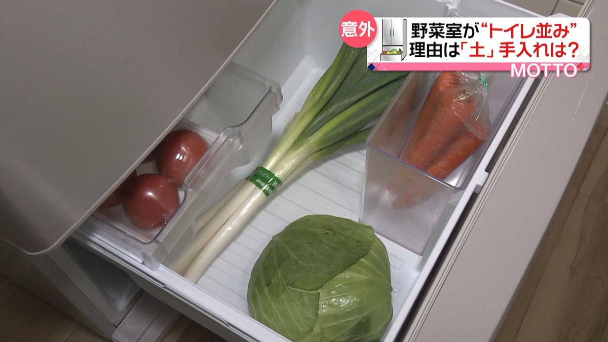野菜室は“トイレ並み”細菌　どう手入れ？