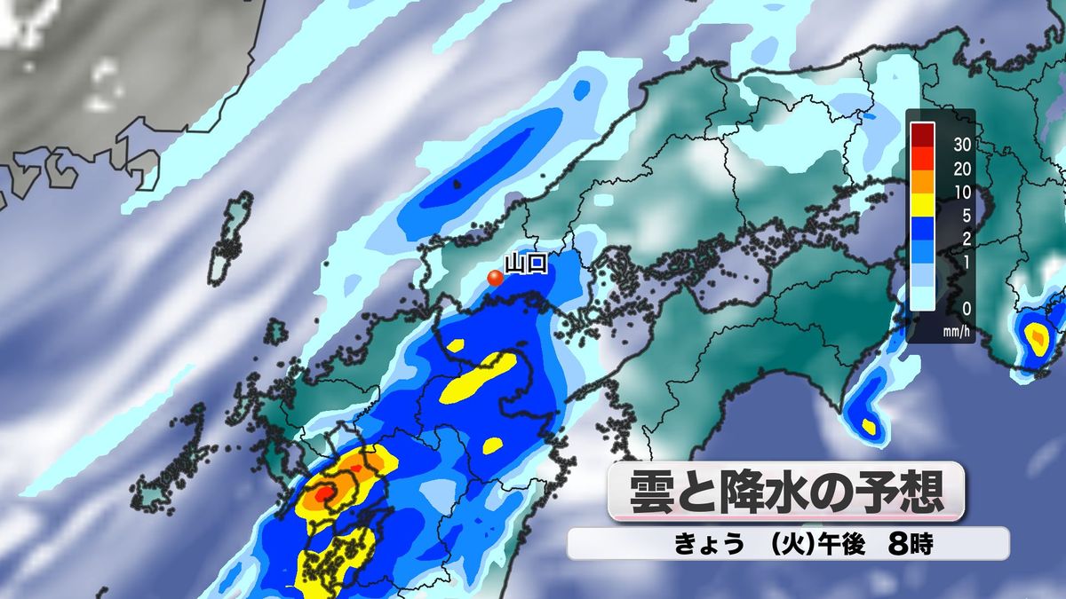 雲と降水の予想