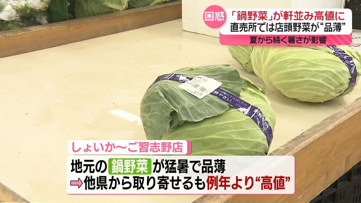 「鍋野菜」が軒並み高値に…夏から続く暑さが影響　“具材変更”で対応も