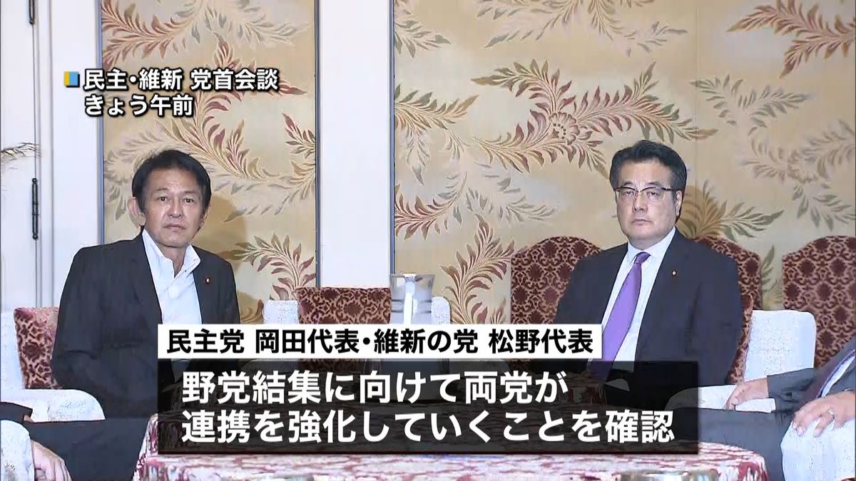 民主・維新　選挙協力と政策協議開始で合意