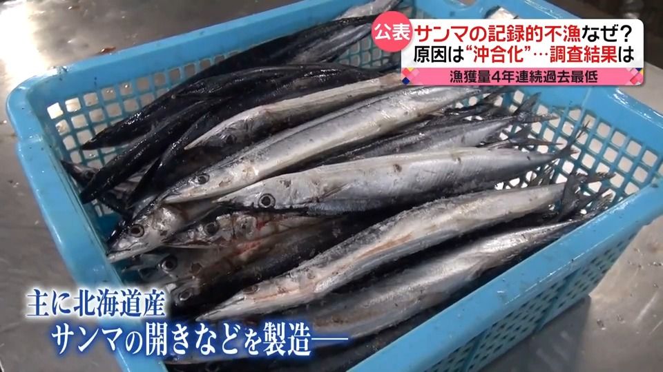 記録的“不漁”続くサンマ　漁獲量は4年連続で過去最低　原因は「沖合化」？