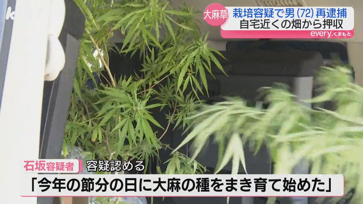 ｢節分の日に大麻の種をまき育て始めた｣と供述