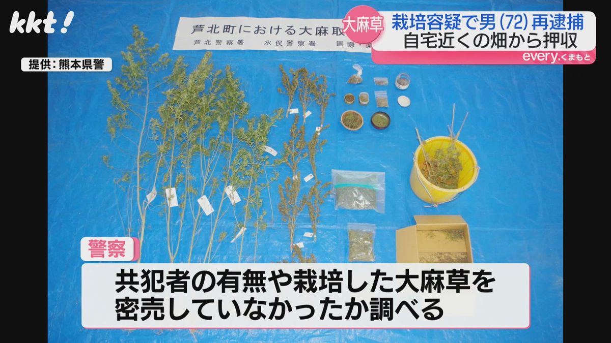 ｢節分の日に種をまいて育て始めた｣畑で大麻草を栽培した疑い 72歳の男を再逮捕