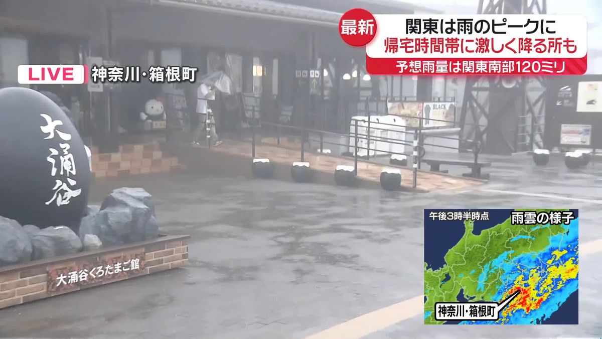 関東は雨のピークに　帰宅時間帯に激しく降る所も　予想雨量は関東南部で120ミリ