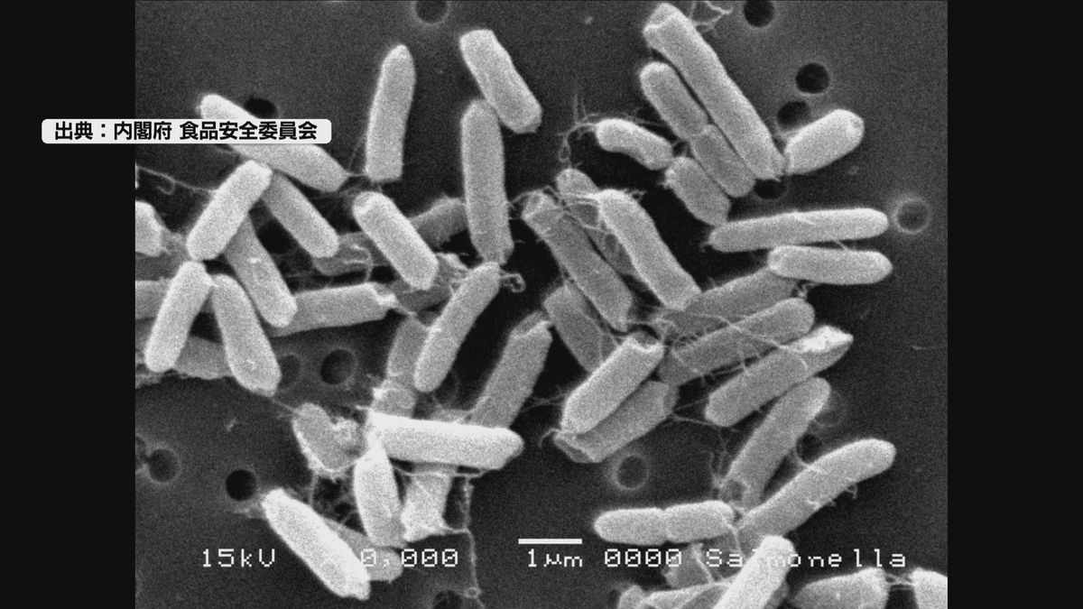 小諸市の幼稚園で園児と職員３２人が食中毒…サルモネラ属菌が原因 全員快方に向かう【長野】