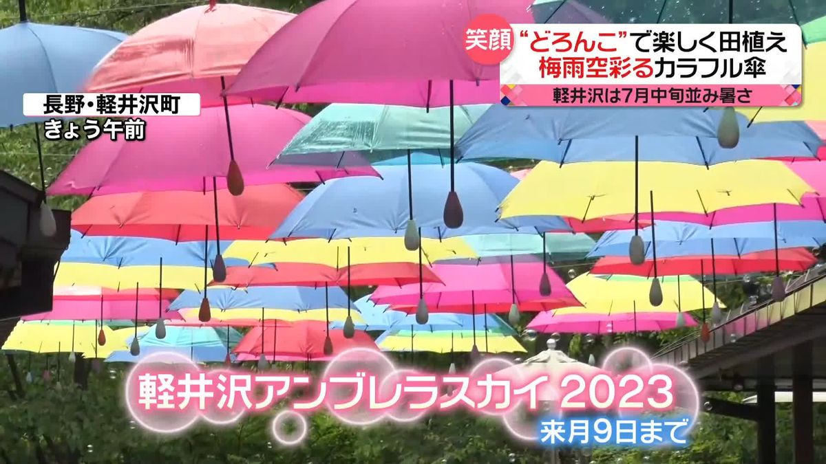 気温上昇でムシムシ　晴れやかな気分に…カラフルな傘が梅雨空を彩る