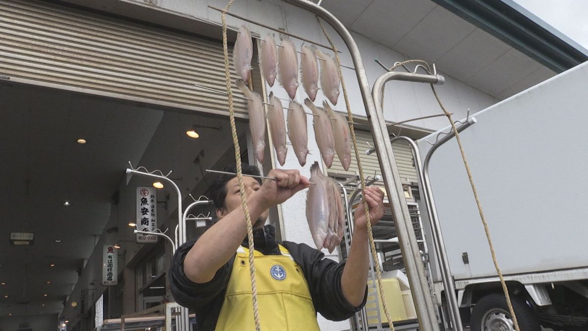 「若狭かれい」天日干し　寒風にさらし甘み増す　肉厚の身、うま味も凝縮　小浜市から全国へ発送