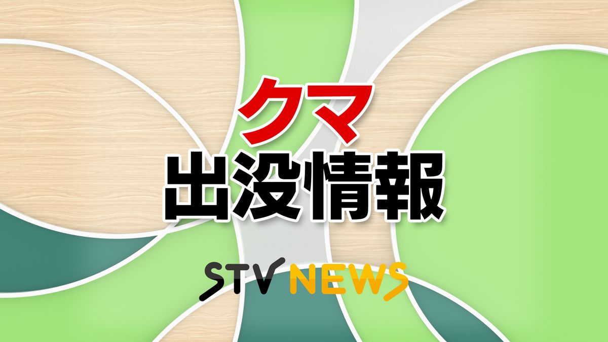 開通したばかりの道道美唄富良野線にクマ出没…走行中の車に子グマ1頭が衝突　北海道