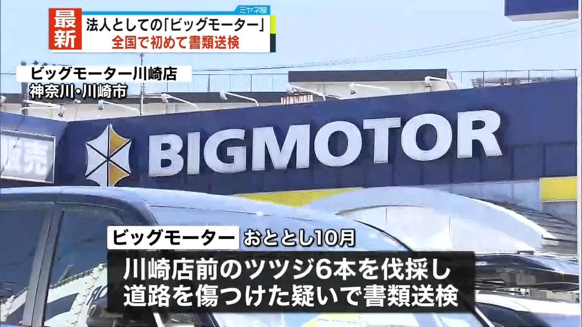 店舗前の街路樹問題　法人「ビッグモーター」を初の書類送検