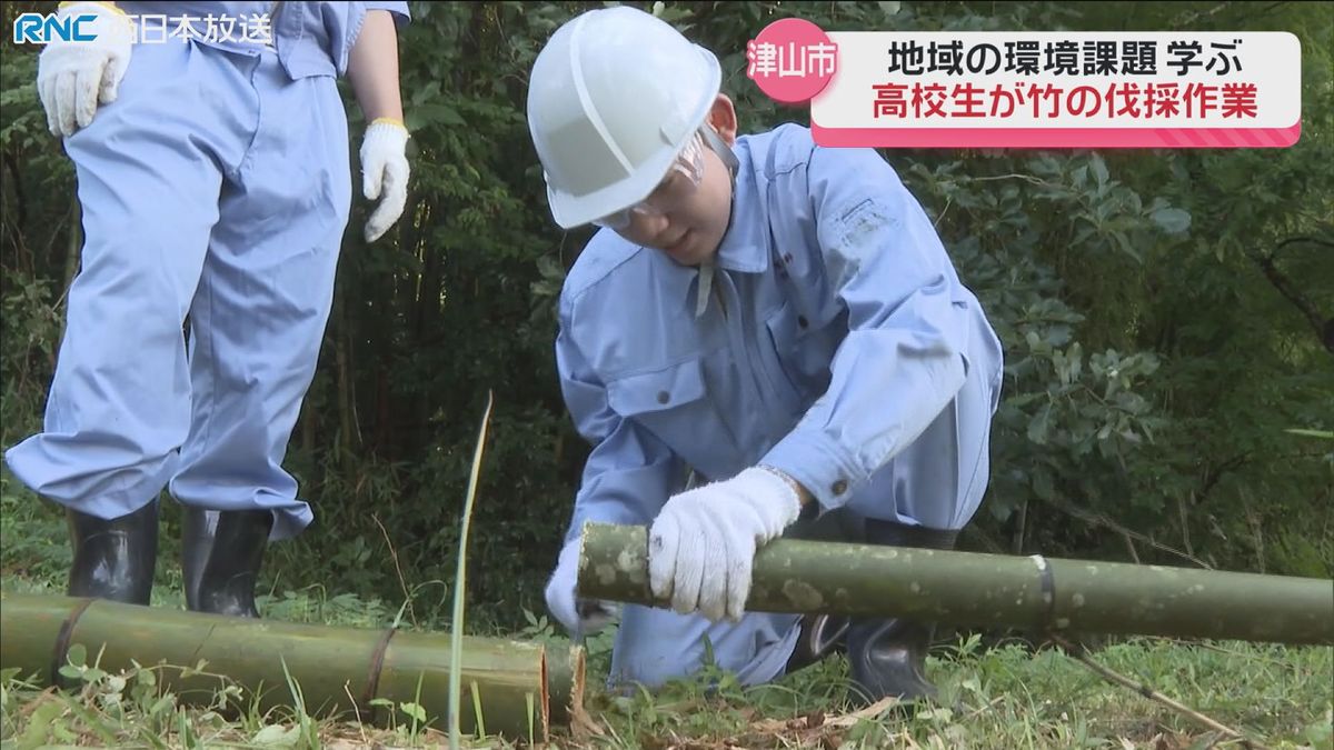 高校生が「竹の伐採」地域の環境課題を学ぶ　津山市