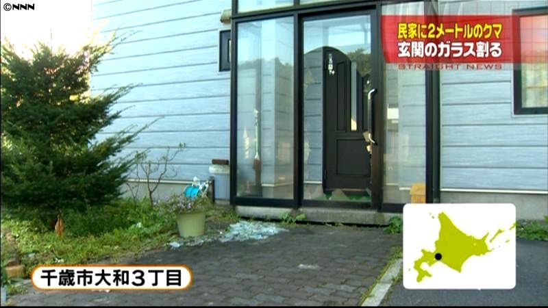 クマが民家に、玄関のガラス割る　北海道