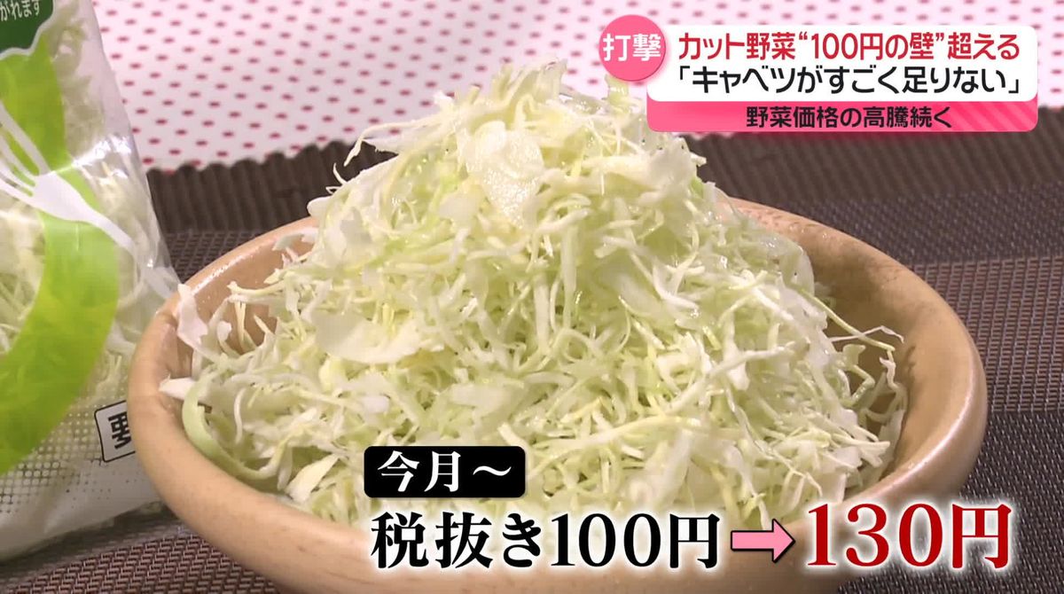 カット野菜“100円の壁”超える　「キャベツがすごく足りない」　白菜は平年の3倍以上…野菜高騰続く