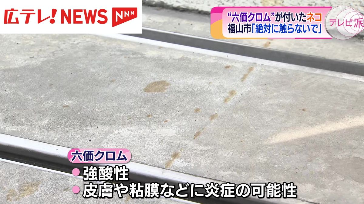 【動画】「六価クロム」まみれになったとみられるネコが逃げる　触らないよう呼びかけ　広島・福山市