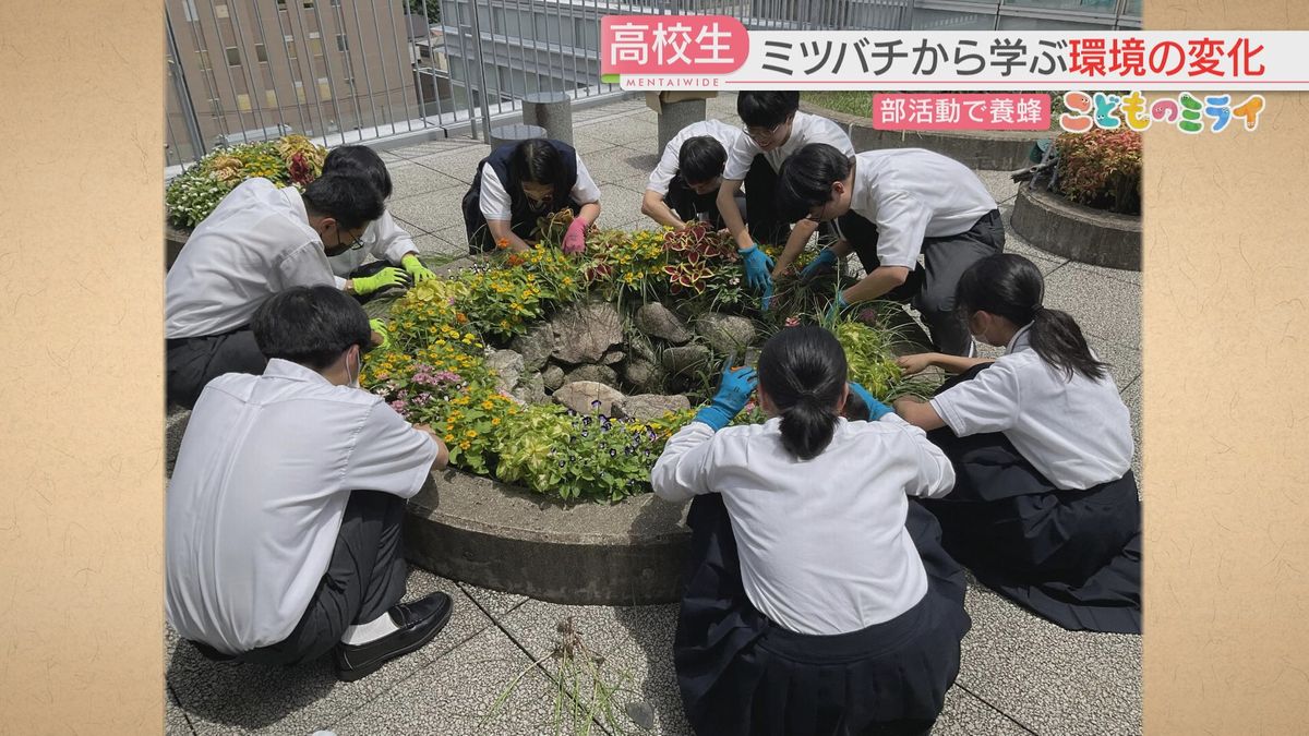 水飲み場