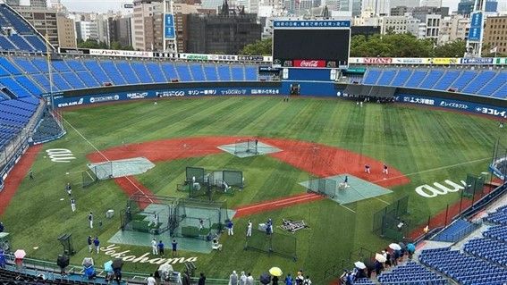 台風10号の影響でプロ野球の試合中止が相次ぐ ヤクルト対巨人、DeNA対阪神の中止を発表（2024年8月28日掲載）｜日テレNEWS NNN