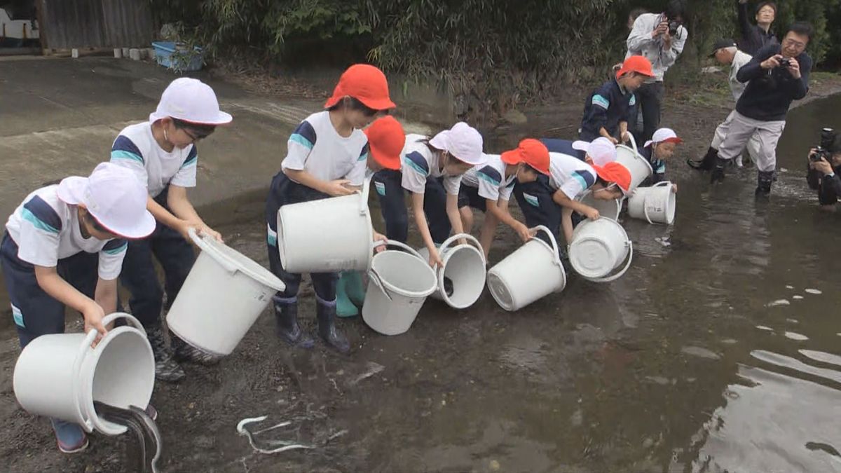 三方五湖の天然ウナギ　資源回復へ児童が稚魚放流　近年はほとんど遡上せず