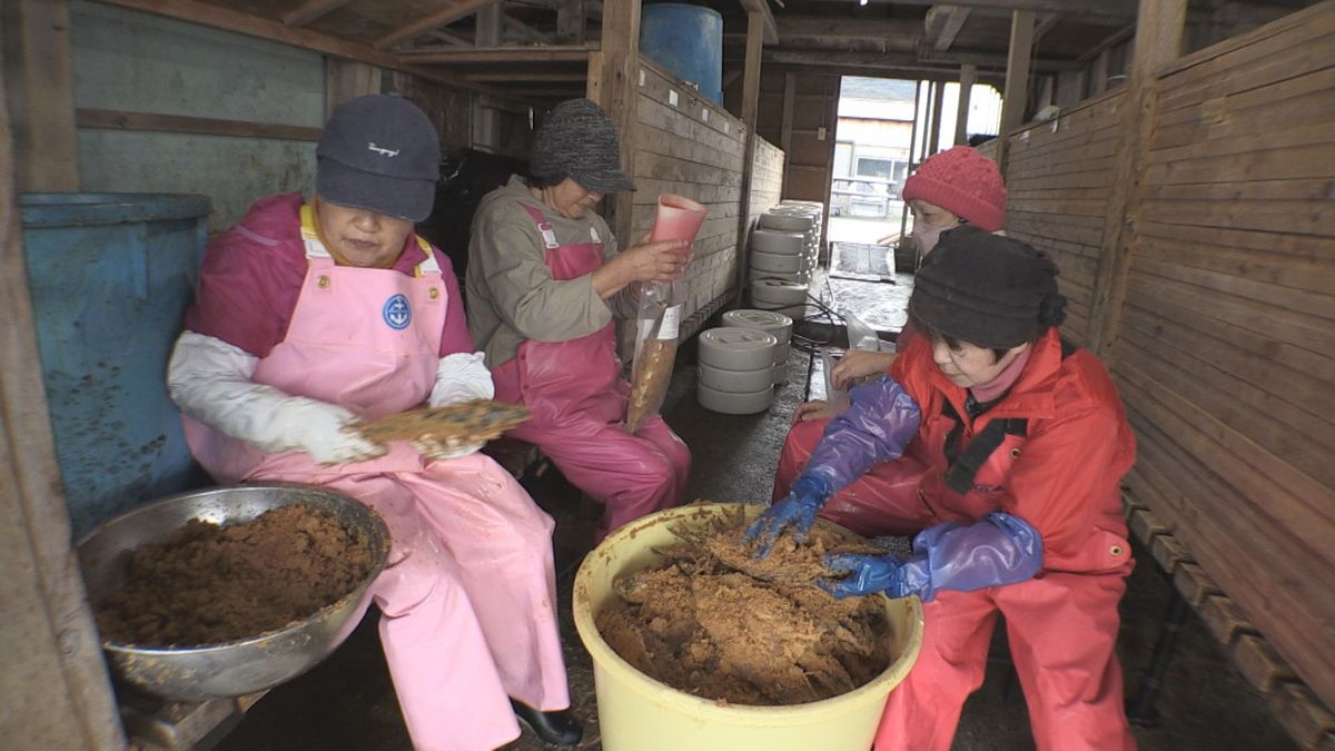 伝統の保存食「へしこ」樽上げ　猛暑乗り越え上々の出来　海からの風で熟成させる　美浜町丹生