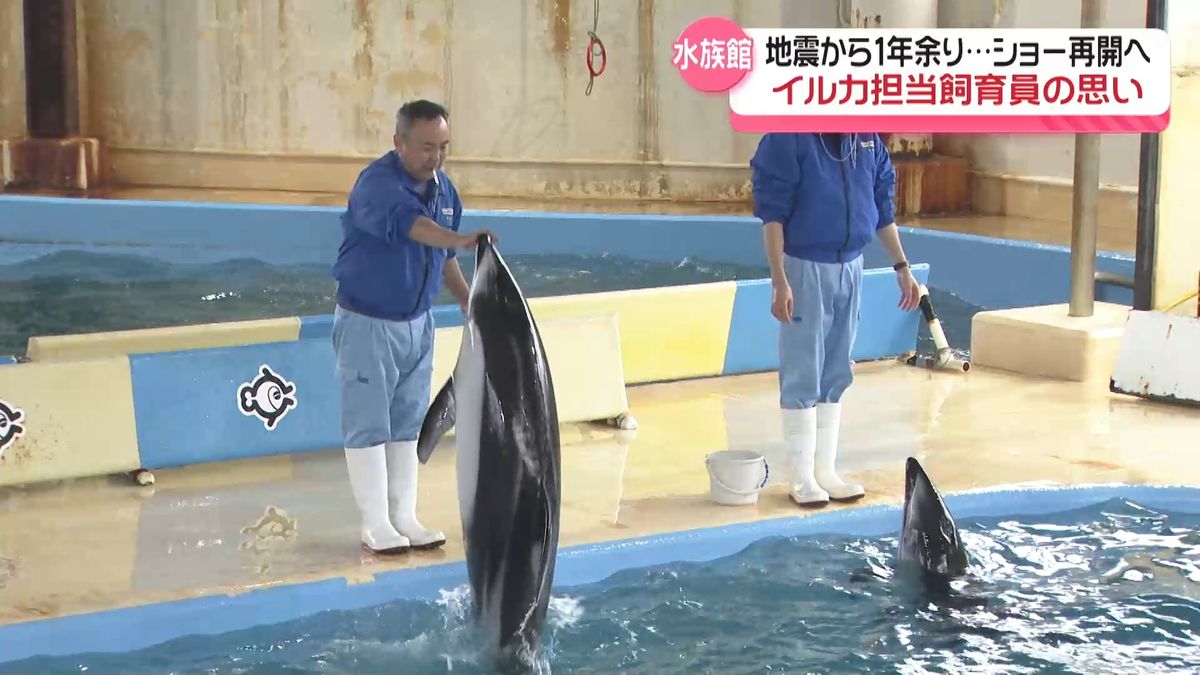 のとじま水族館の人気ショー今春復活へ！　一時避難のイルカもコンディション上々