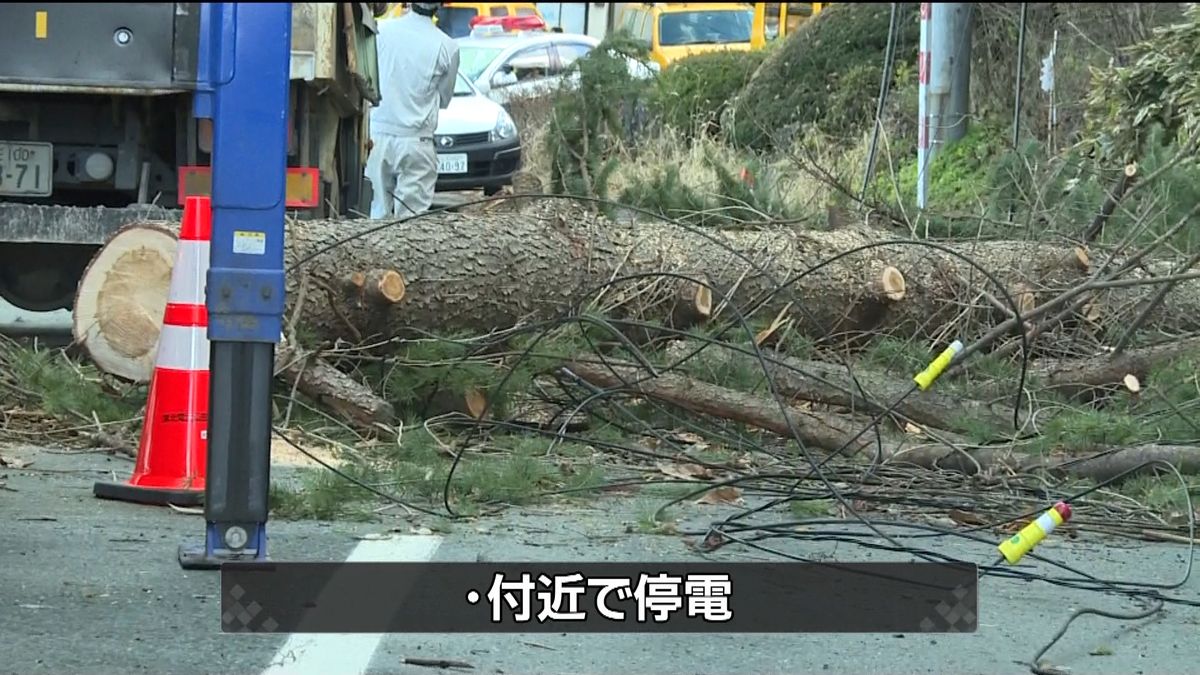 蔵王スキー場に通じる県道　倒木で通行止め