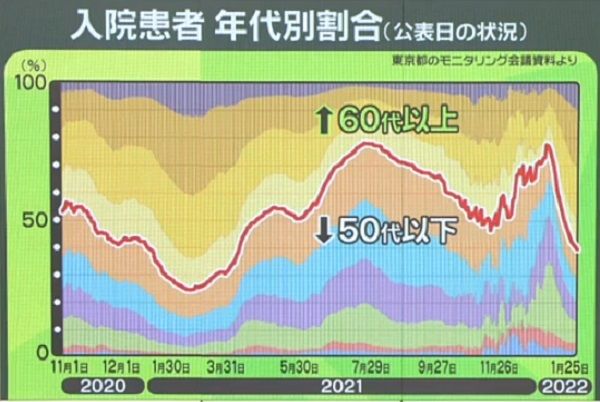 入院患者の年代別割合